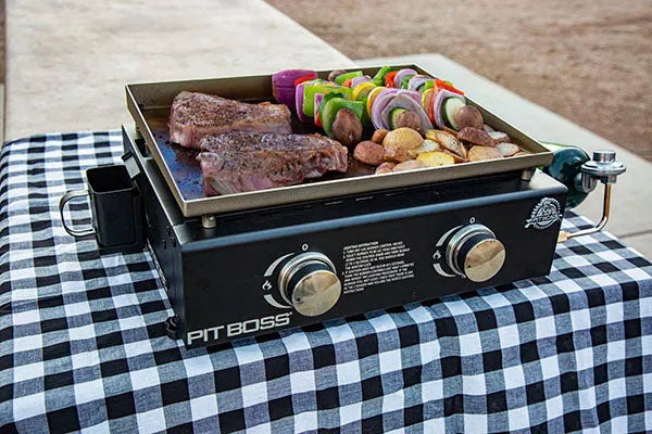 Portable Tabletop Outdoor Griddle